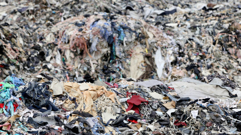 The environmental impact of fast fashion