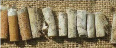 Cigarette butts & filters examples